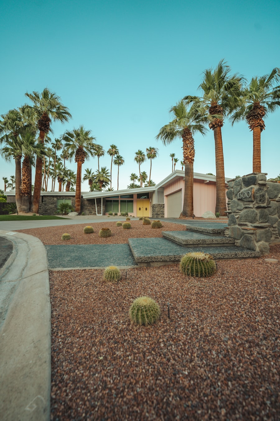 Desert-style home with palms and a cactus garden